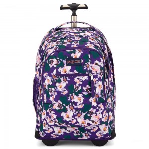 Plecak Na Laptopa JanSport Driver 8 Rolling Plecaki Fioletowe | LPLSX93574