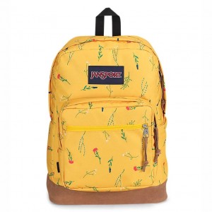 Plecak Na Laptopa JanSport Right Pack Plecaki Żółte | YPLGT27916