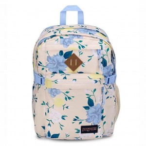 Plecaki szkolne JanSport Main Campus Plecaki Niebieskie Żółte | ZPLMJ62450