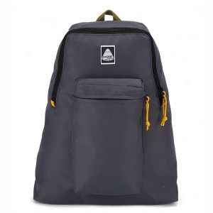 Plecaki szkolne JanSport SKI N HIKE Plecaki Szare | TPLWZ50459