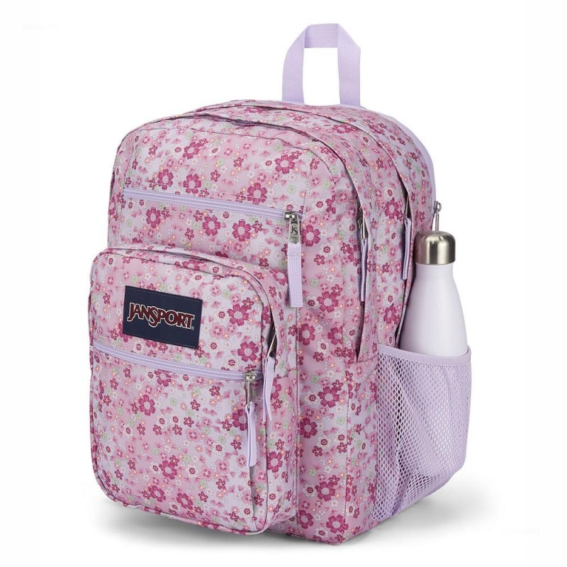 Plecak Na Laptopa JanSport BIG STUDENT Plecaki Różowe | PPLER26492