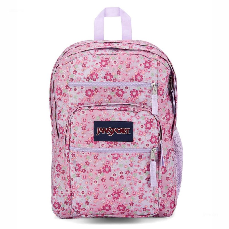 Plecak Na Laptopa JanSport BIG STUDENT Plecaki Różowe | PPLER26492