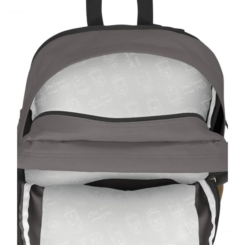 Plecak Na Laptopa JanSport Main Campus Plecaki Jasny Szare | APLDF59683