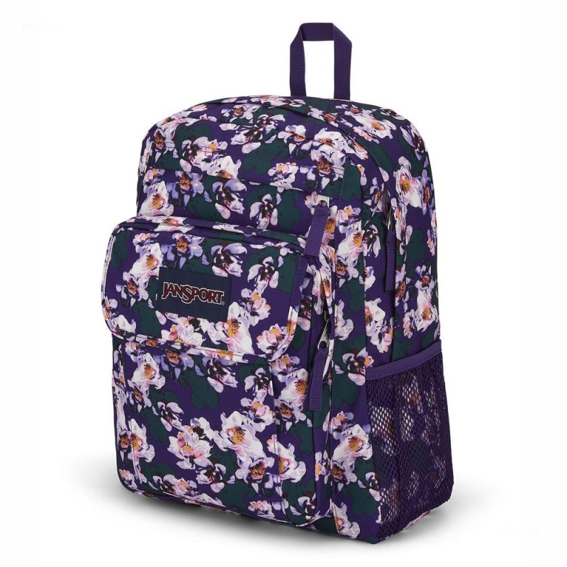 Plecak Na Laptopa JanSport UNION PACK Plecaki Fioletowe | PLQCS97325