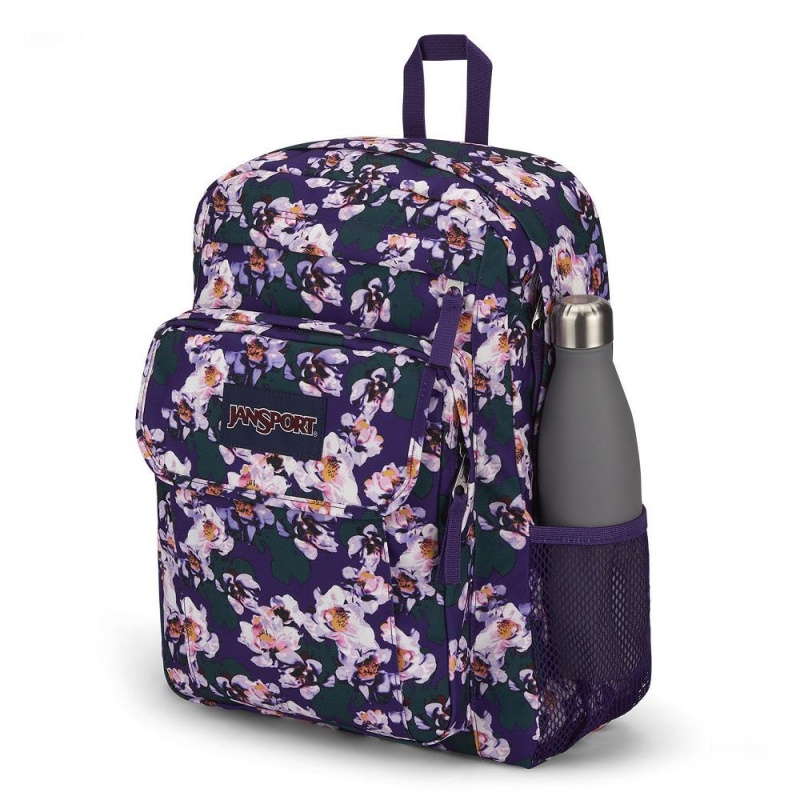 Plecak Na Laptopa JanSport UNION PACK Plecaki Fioletowe | PLQCS97325