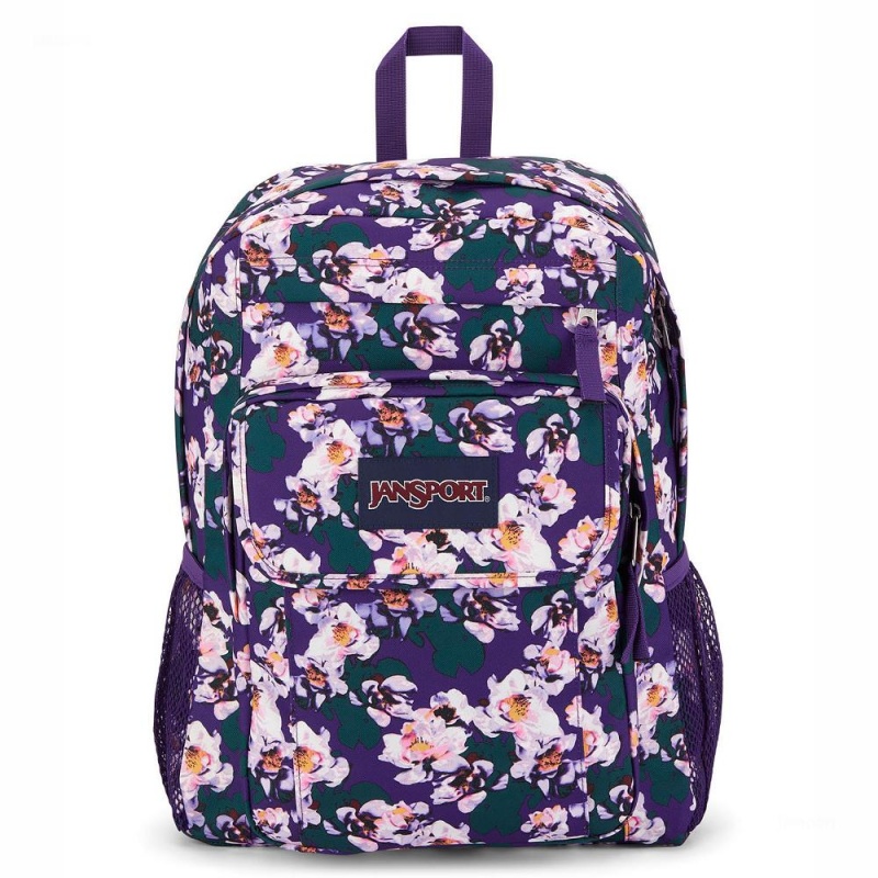 Plecak Na Laptopa JanSport UNION PACK Plecaki Fioletowe | PLQCS97325