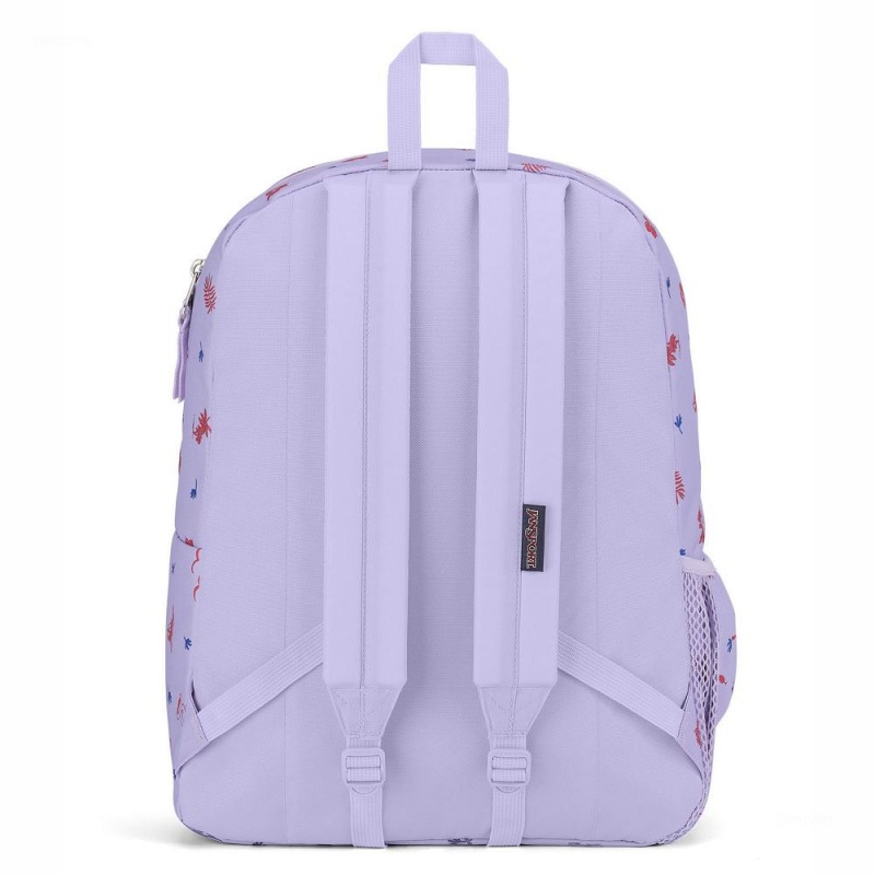 Plecaki szkolne JanSport CROSS TOWN Plecaki Głęboka Fioletowe | PLICD96031