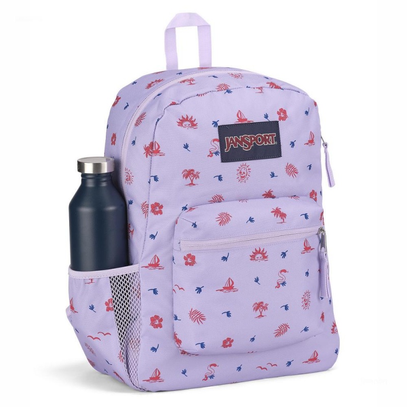 Plecaki szkolne JanSport CROSS TOWN Plecaki Głęboka Fioletowe | PLICD96031