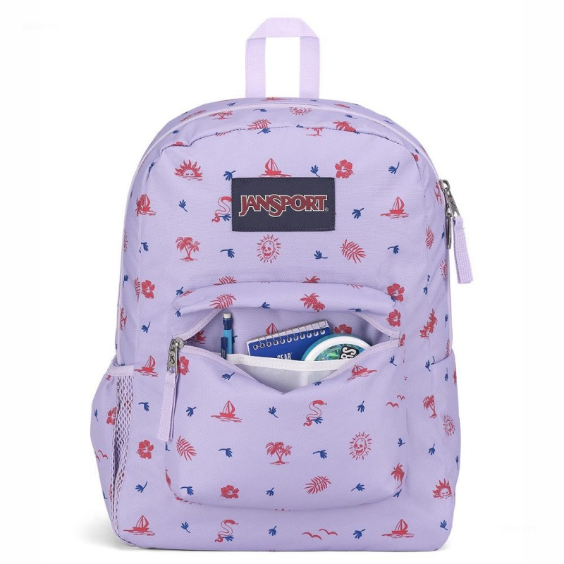 Plecaki szkolne JanSport CROSS TOWN Plecaki Głęboka Fioletowe | PLICD96031