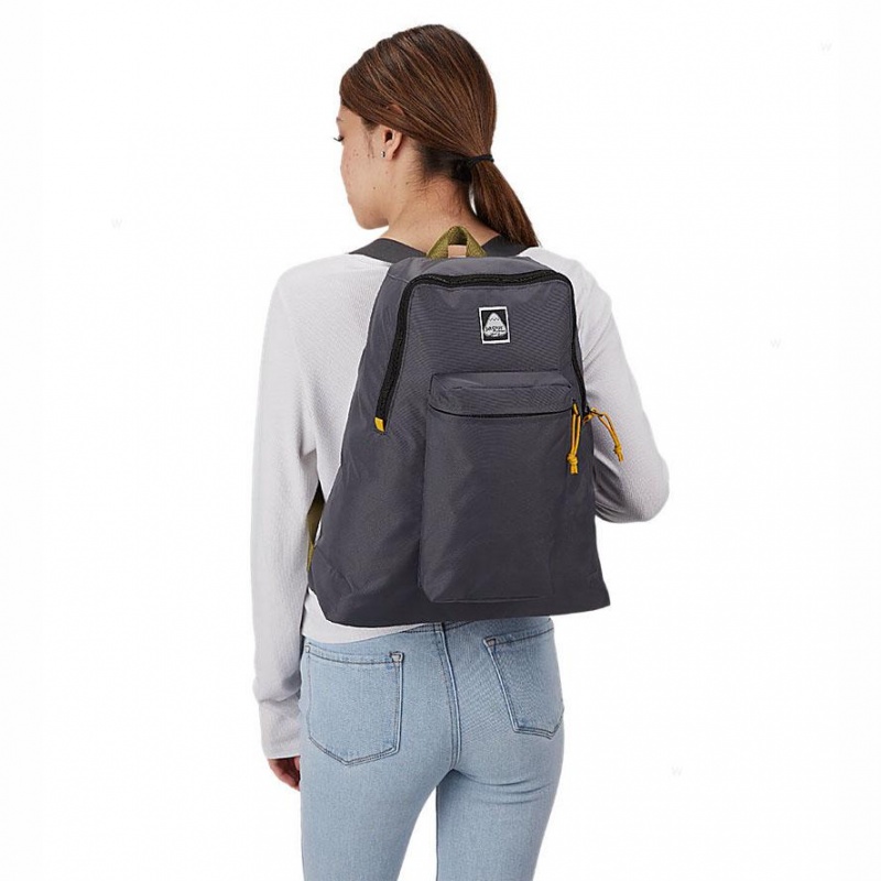 Plecaki szkolne JanSport SKI N HIKE Plecaki Szare | TPLWZ50459