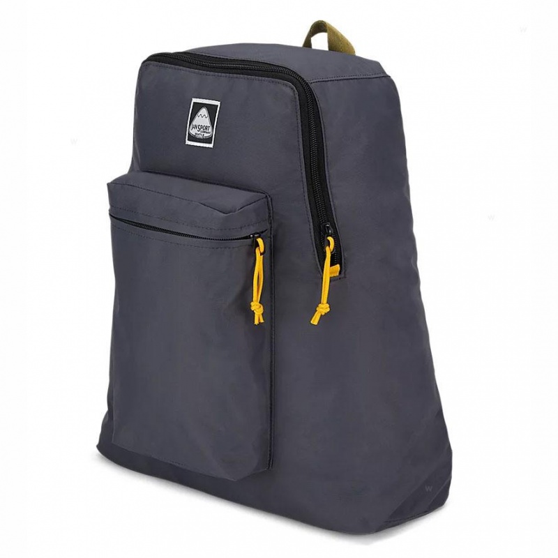 Plecaki szkolne JanSport SKI N HIKE Plecaki Szare | TPLWZ50459