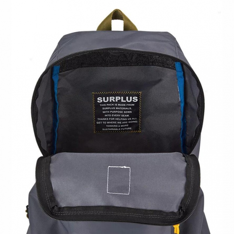 Plecaki szkolne JanSport SKI N HIKE Plecaki Szare | TPLWZ50459