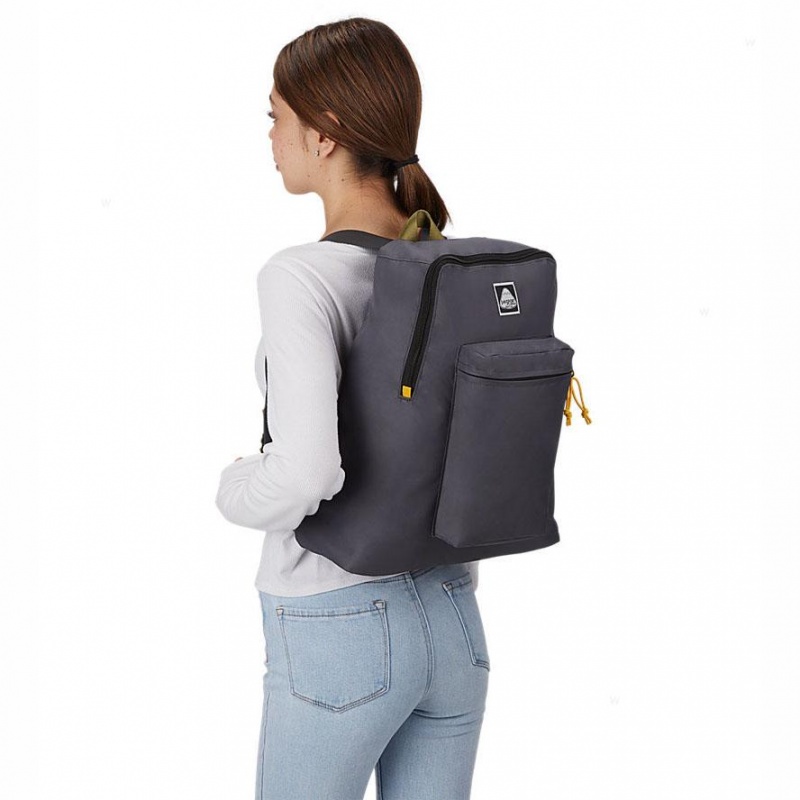 Plecaki szkolne JanSport SKI N HIKE Plecaki Szare | TPLWZ50459