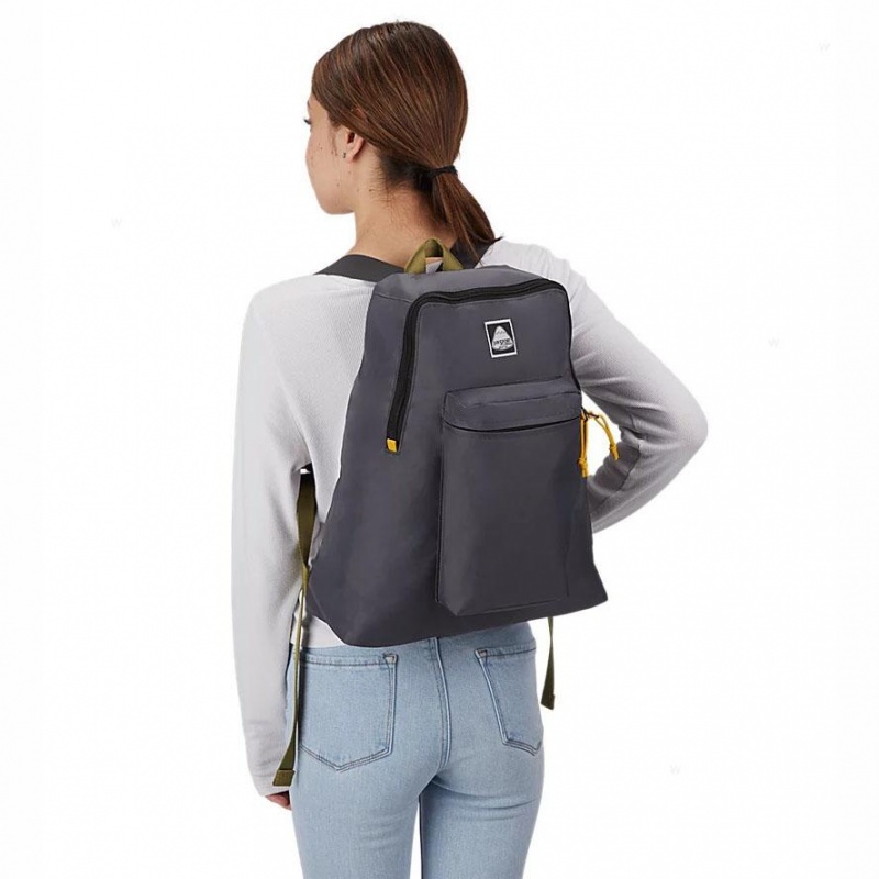 Plecaki szkolne JanSport SKI N HIKE Plecaki Szare | TPLWZ50459